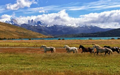 Niezwykłe miejsca, które warto odwiedzić podczas pobytu w Patagonii.
